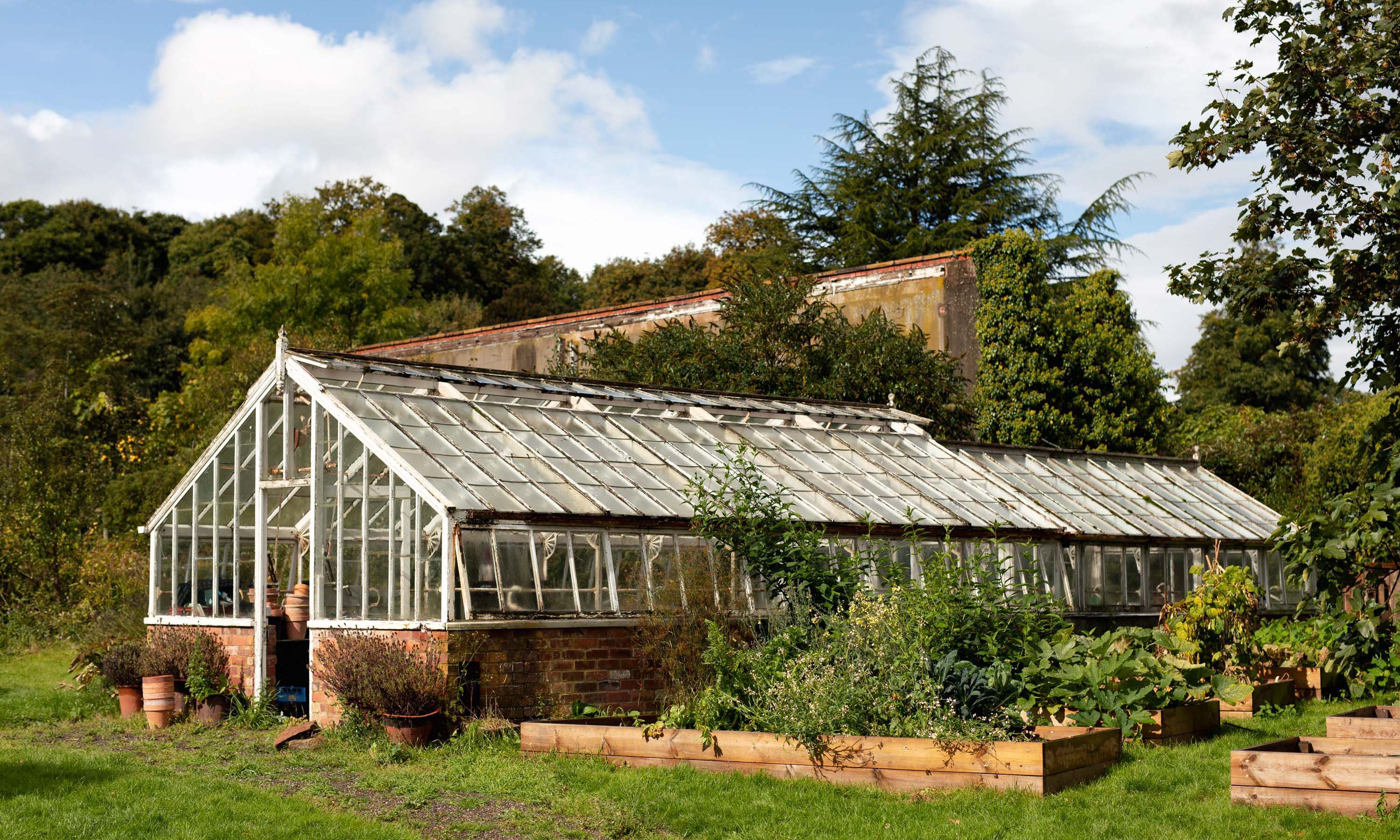 Xanthe Gladstone greenhouse at Hawarden Estate